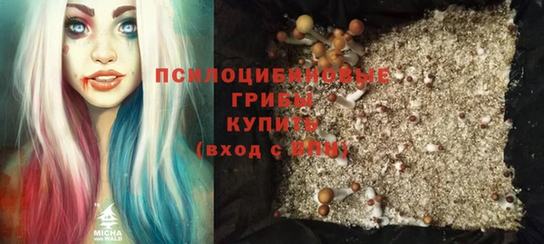 стаф Кукмор