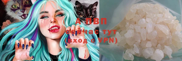 стаф Кукмор